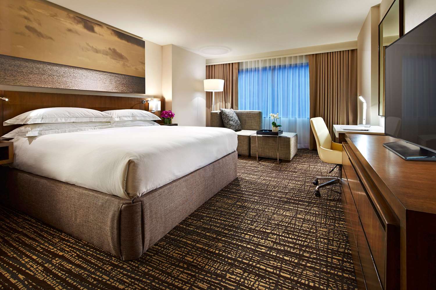 Room, King Bed, Sofa