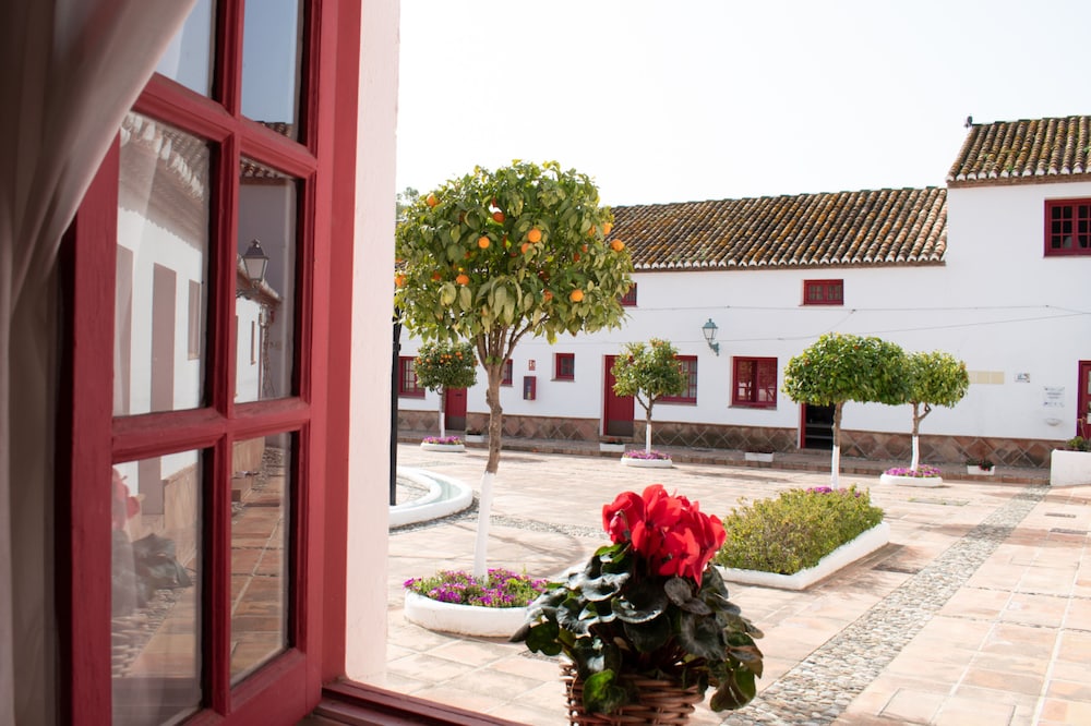 Cortijo del Arte 47/54