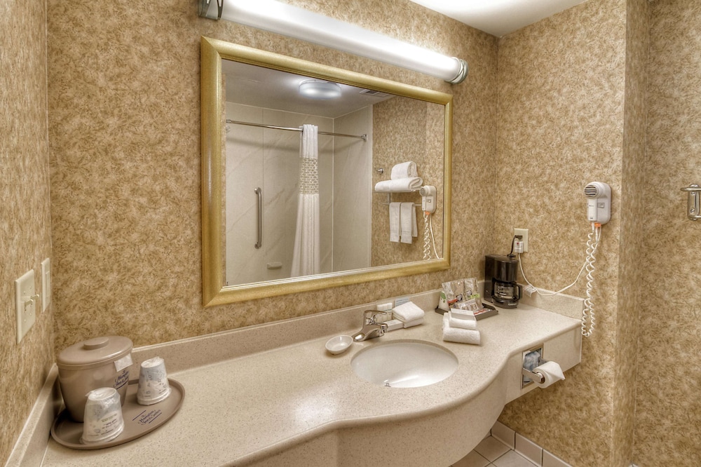 Hampton Inn & Suites Kalamazoo-Oshtemo 17/42