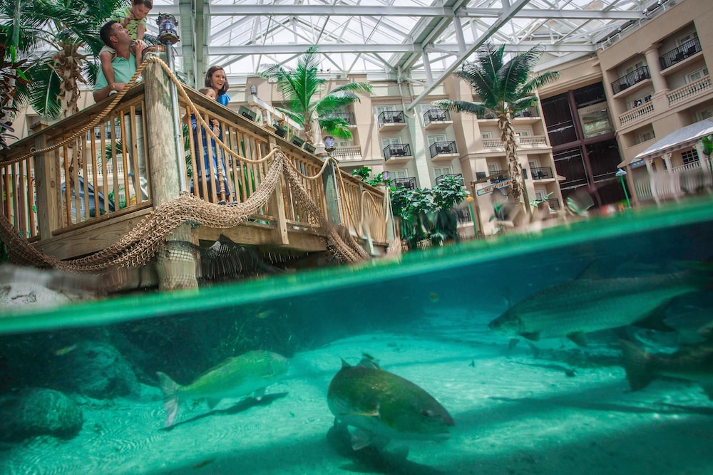Gaylord Palms Resort & Convention Center in KISSIMMEE - FL