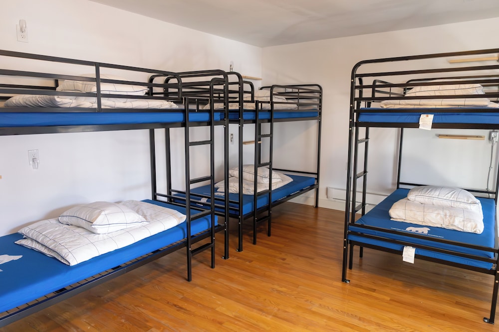Treehouse Hostel 2/15