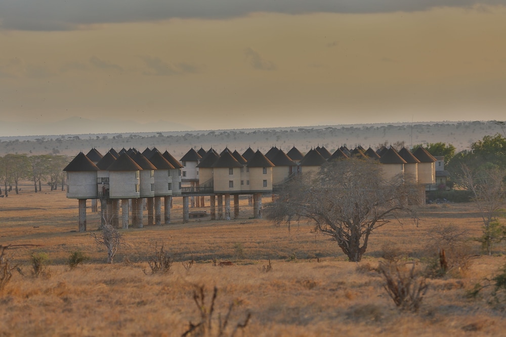 Salt Lick Safari Lodge 37/55
