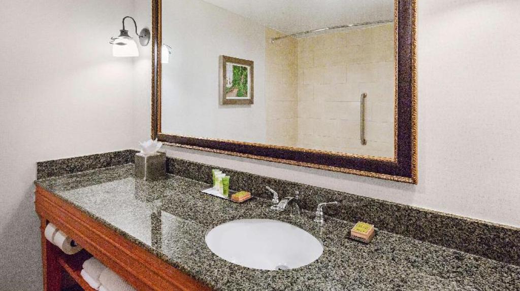 جناح استوديو كبير بسرير كينج بإطلالة على الفناء، Doubletree by Hilton Raleigh Durham Airport at Research Triangle Park 2/2
