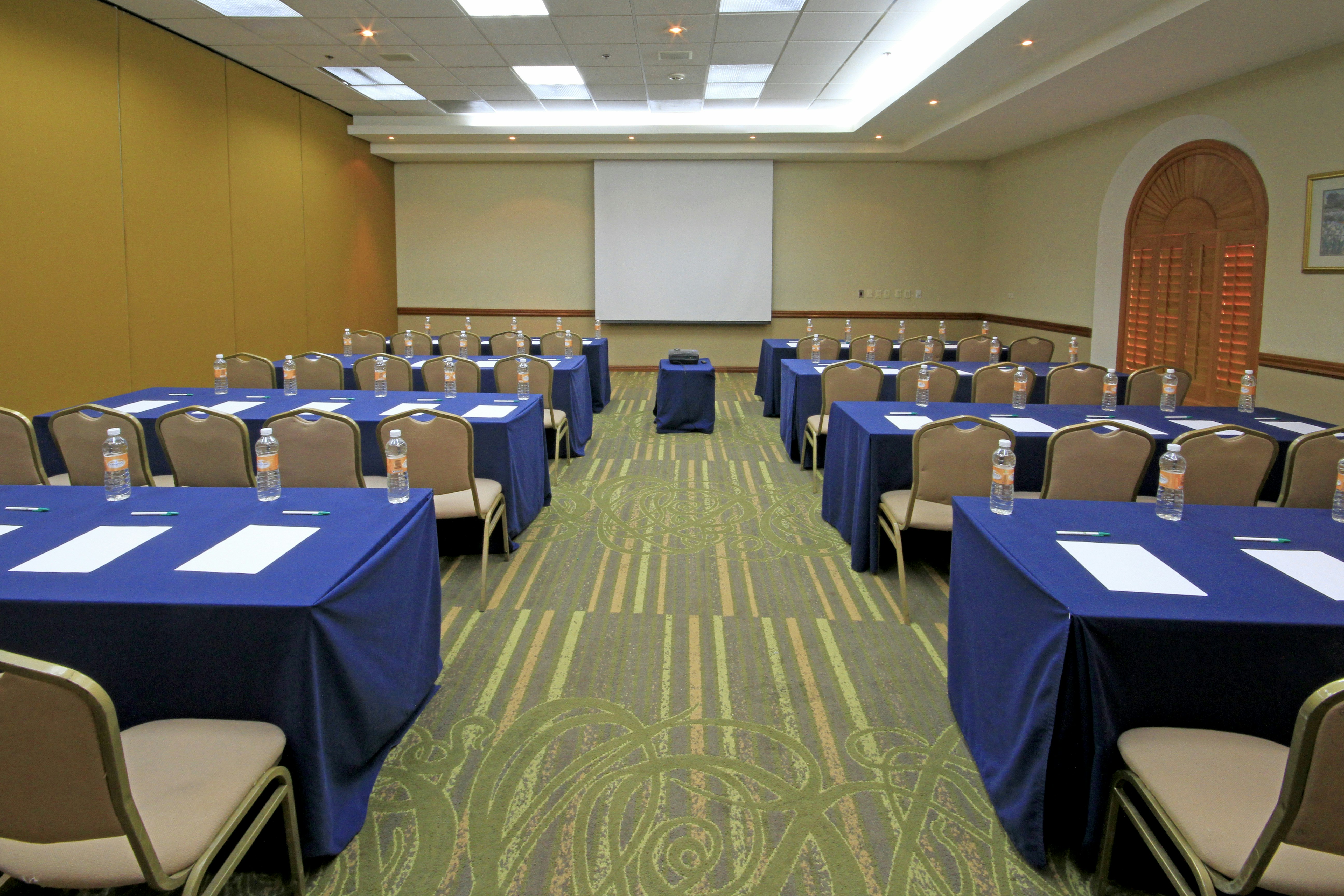 Holiday Inn Monclova 40/50