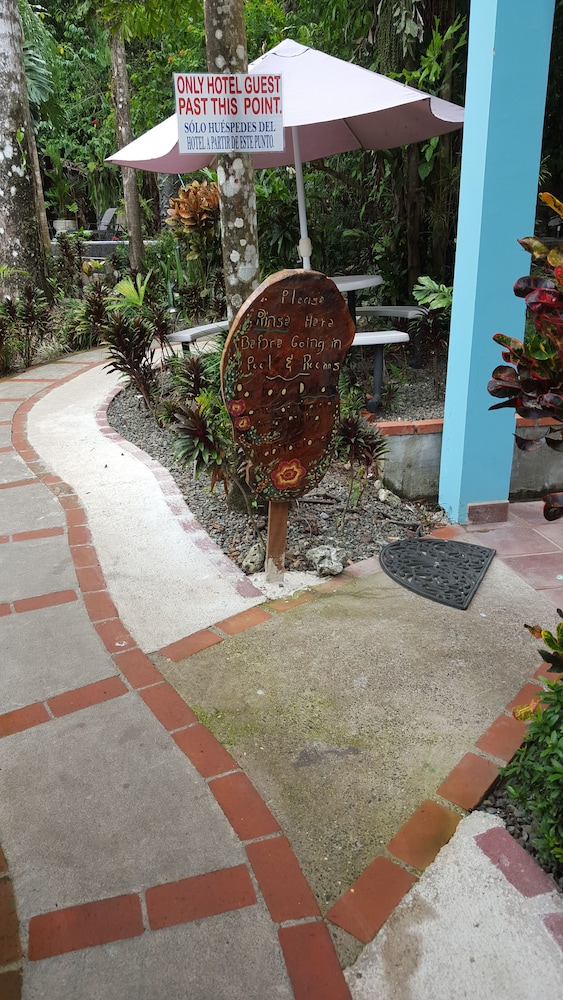 Hotel La Posada And Jungle 3/74