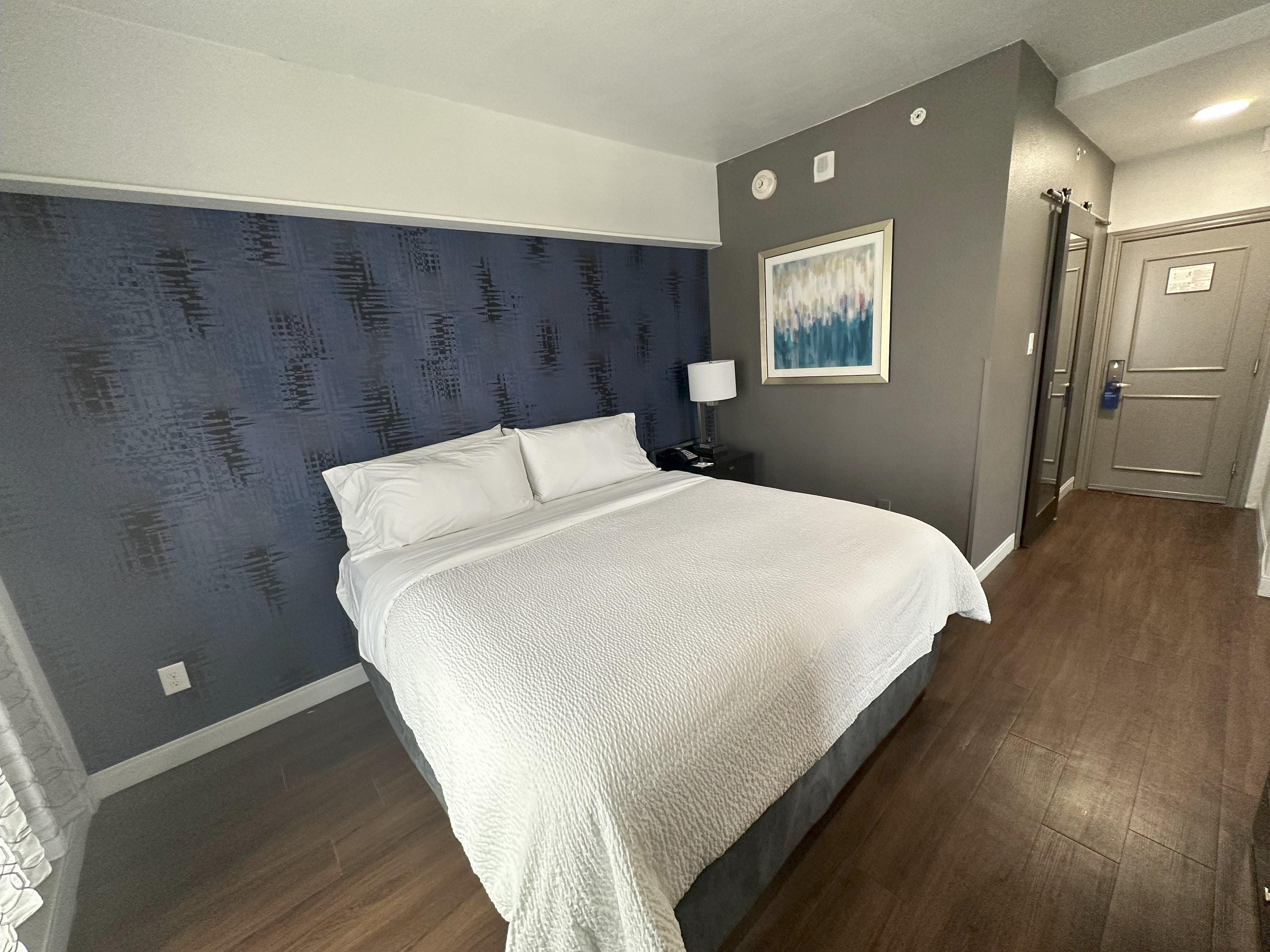 Holiday Inn Express - Dallas Downtown, an IHG Hotel 22/73