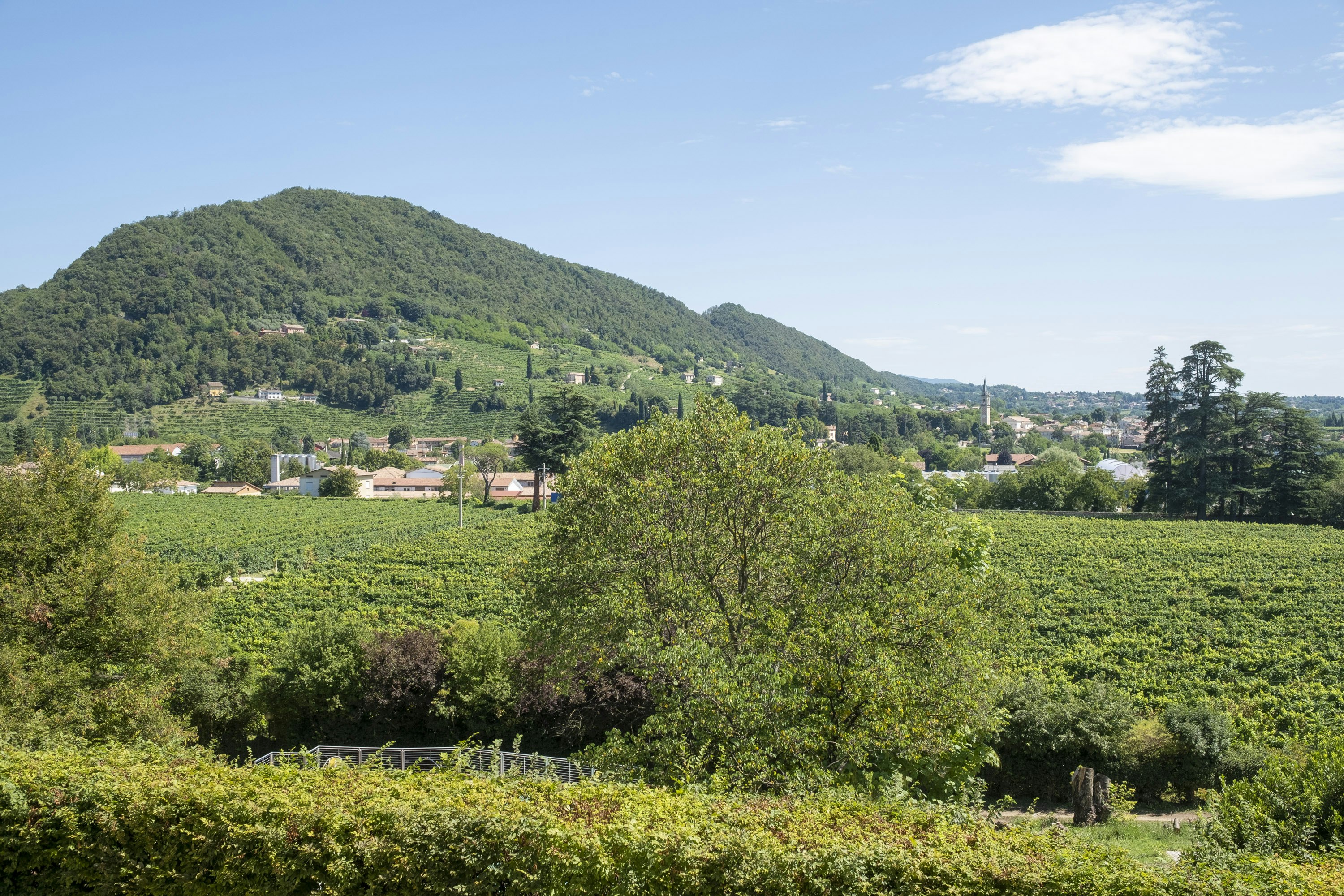 Villa Soligo 40/52