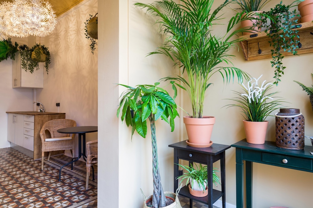 Casa Maca Guest House 7/50