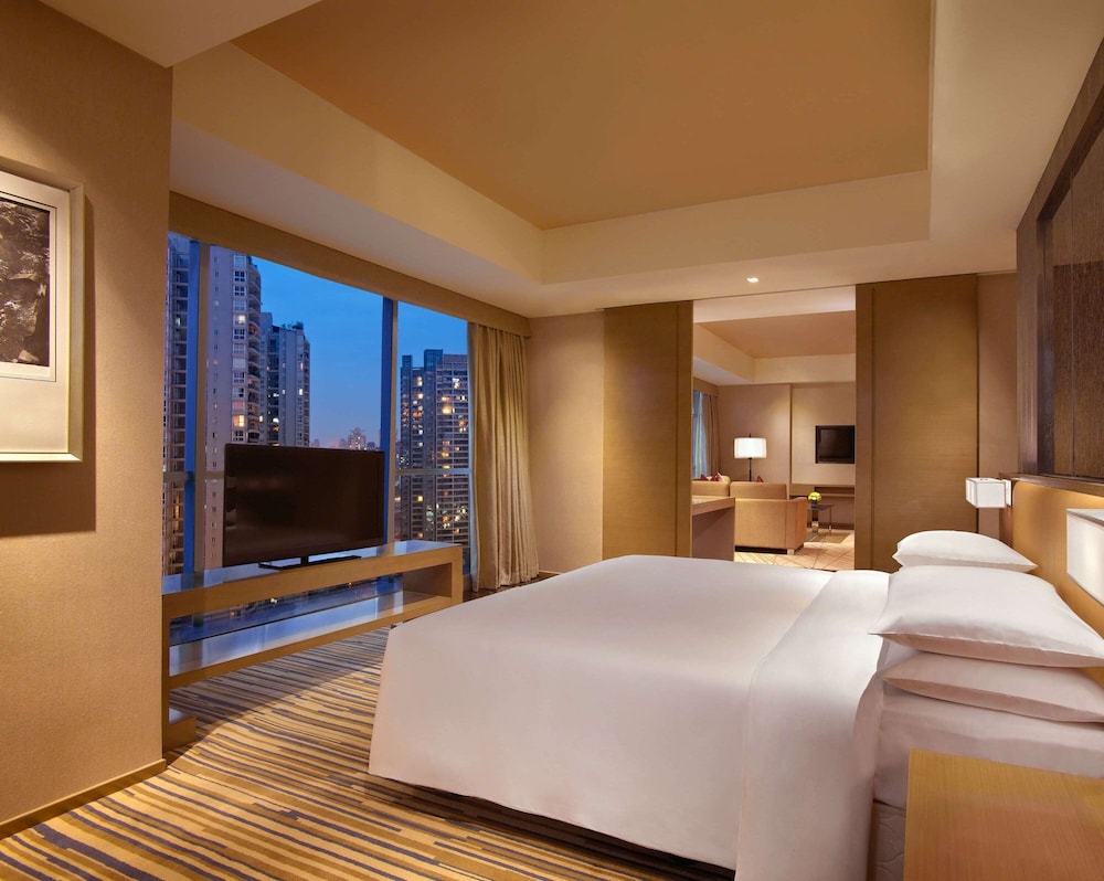 Hyatt Regency Chongqing 17/71