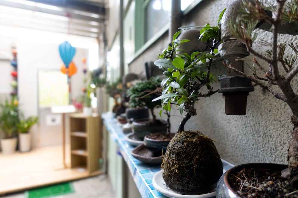 Traditional Apartment - Hostel 66/68