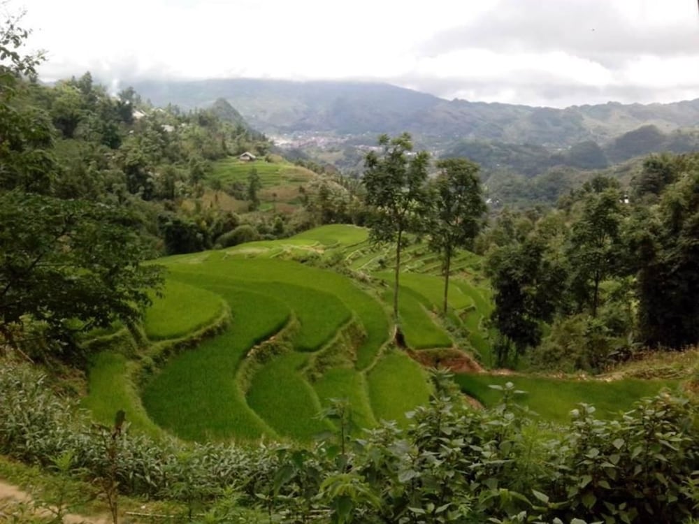 Ngan Nga Bac Ha Hotel 16/22