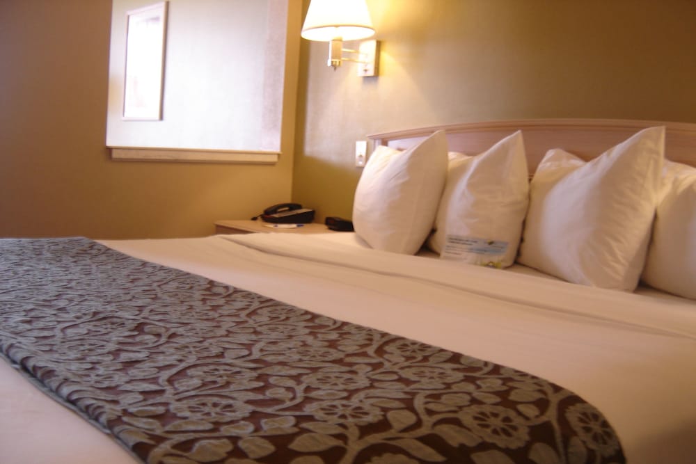 Days Inn By Wyndham Carlsbad Nm 29/65