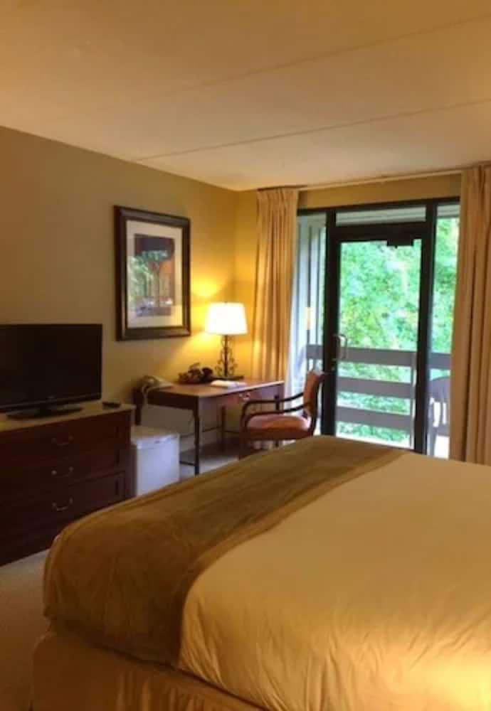 Fontana Village Resort 15/51