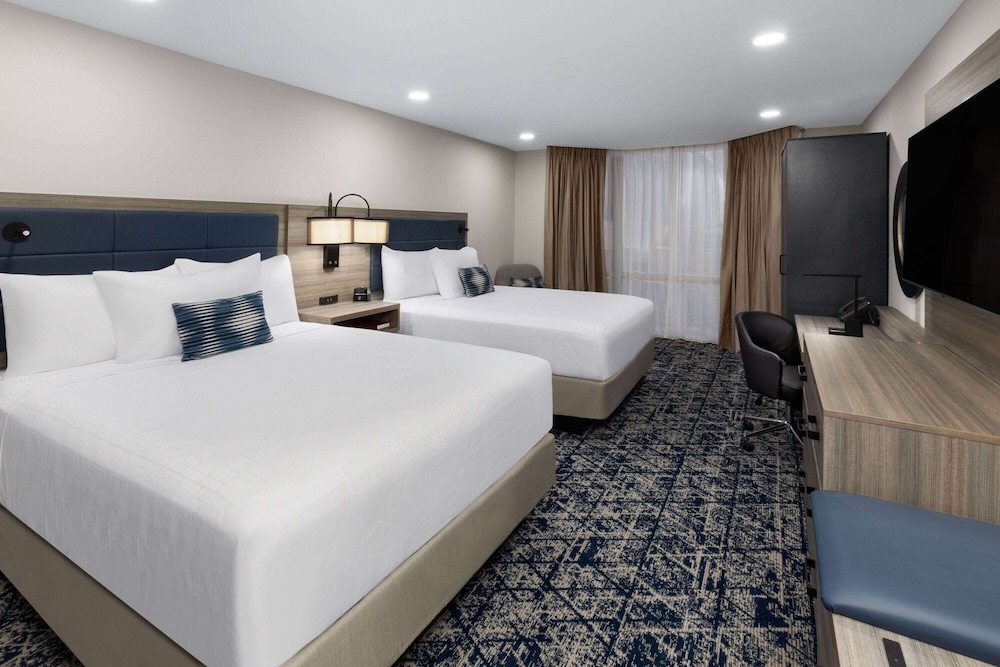 ROOM, MULTIPLE BEDS