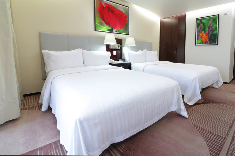 Holiday Inn Hotel And Suites Medica Sur 13/35