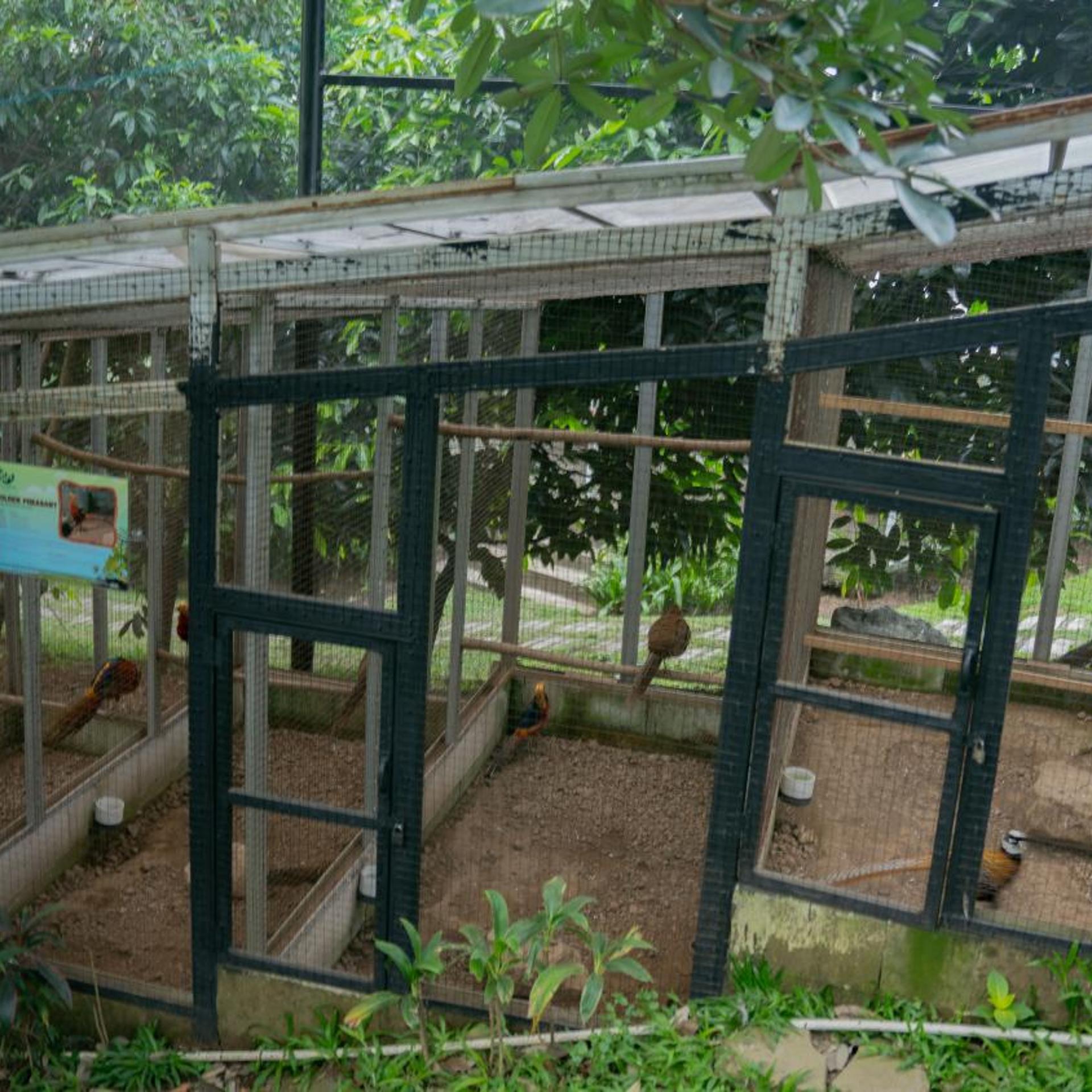 Leuweung Geledegan Ecolodge 1/51