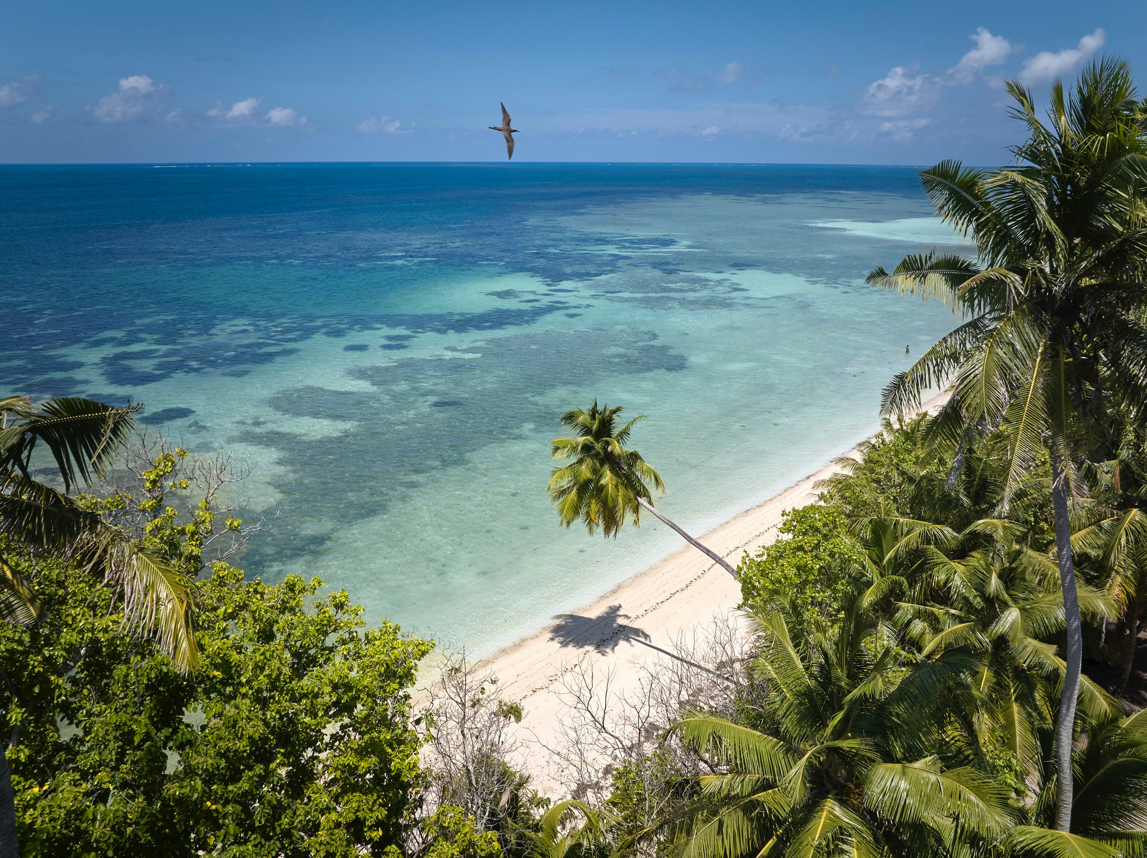 Waldorf Astoria Seychelles Platte Island 61/63