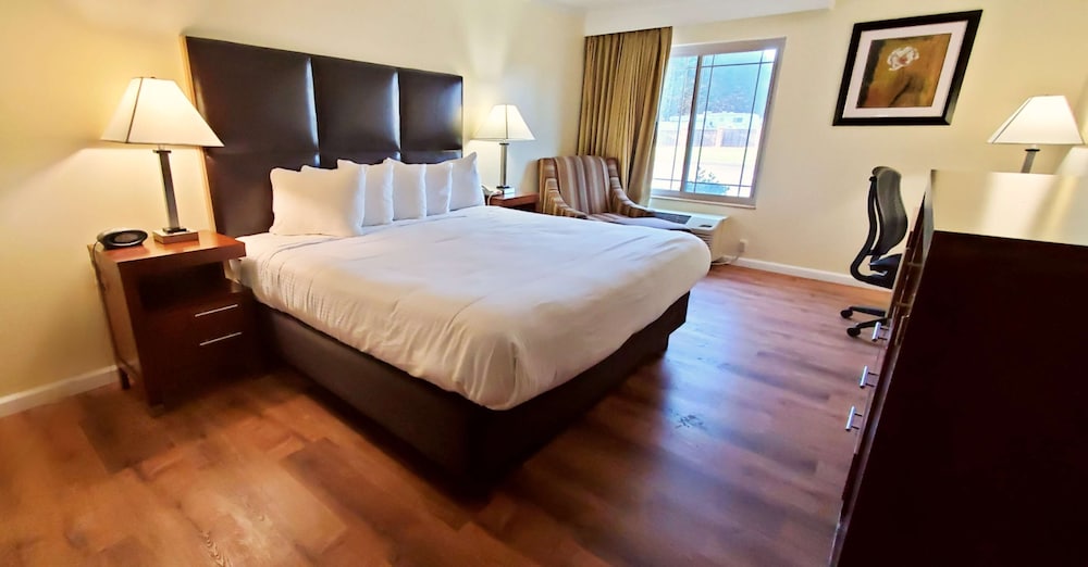 غرفة قياسية بسرير كينج بإطلالة لذوي الإعاقة، Best Western Plus Northwoods Inn 8/10