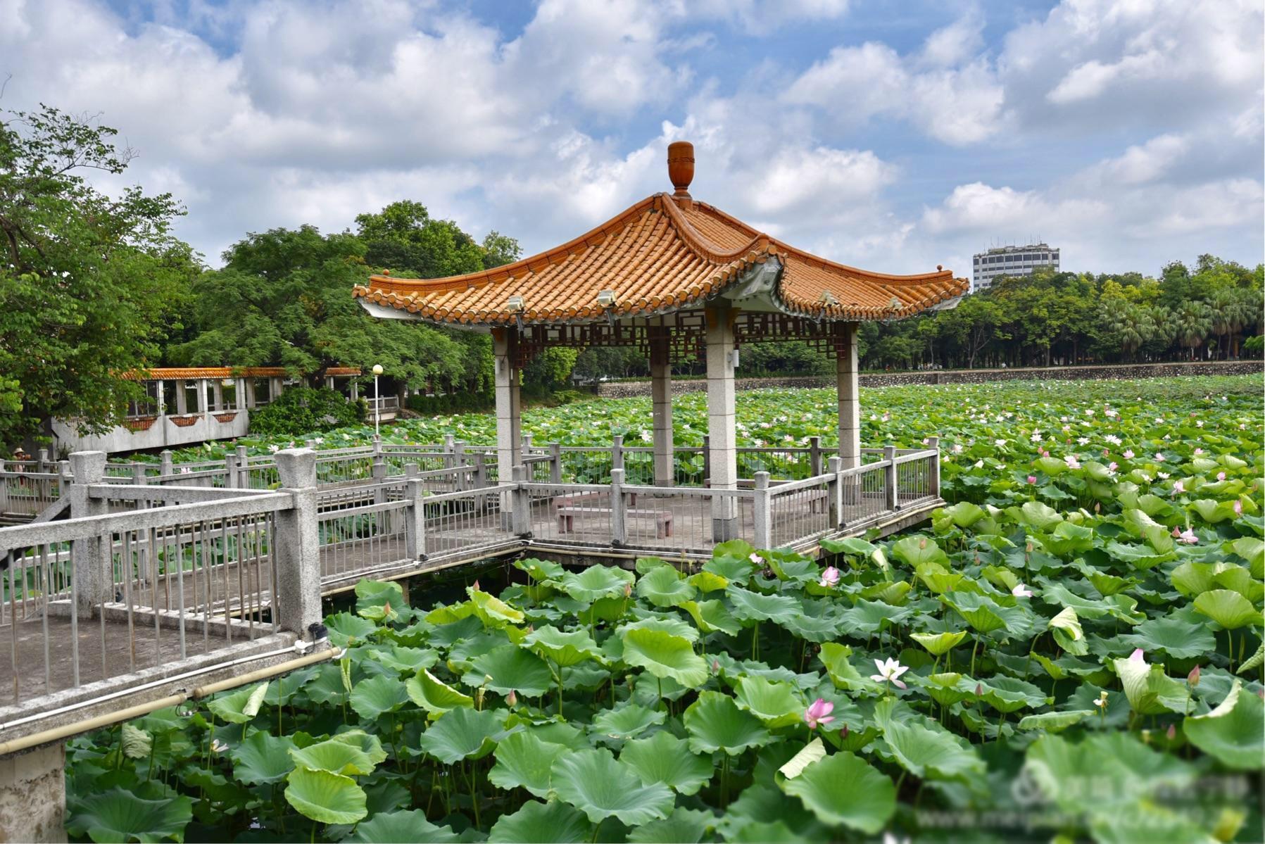 Taishan Bojue Hotel 65/69