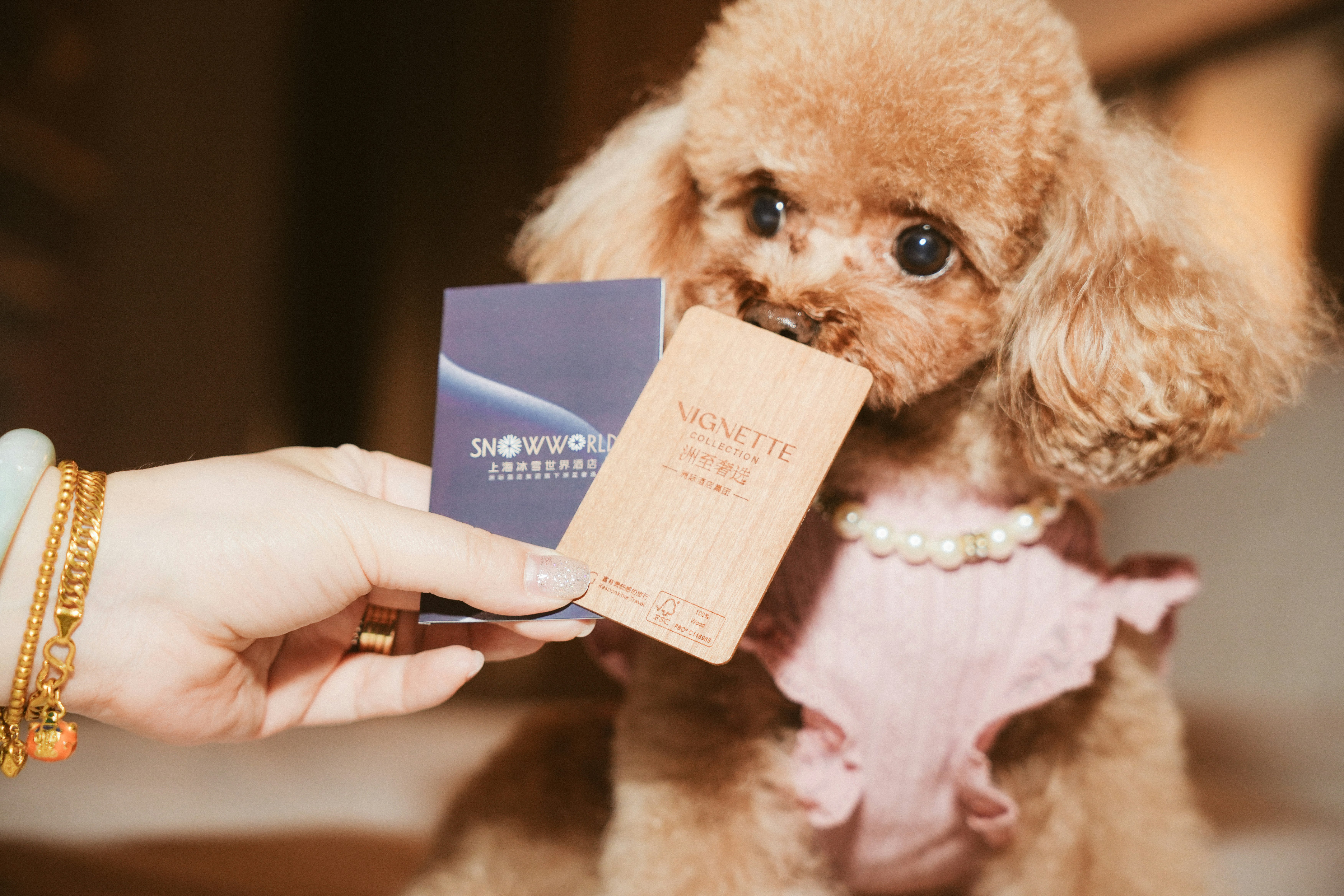 Vignette Collection Shanghai Snow World Hotel by IHG 10/28