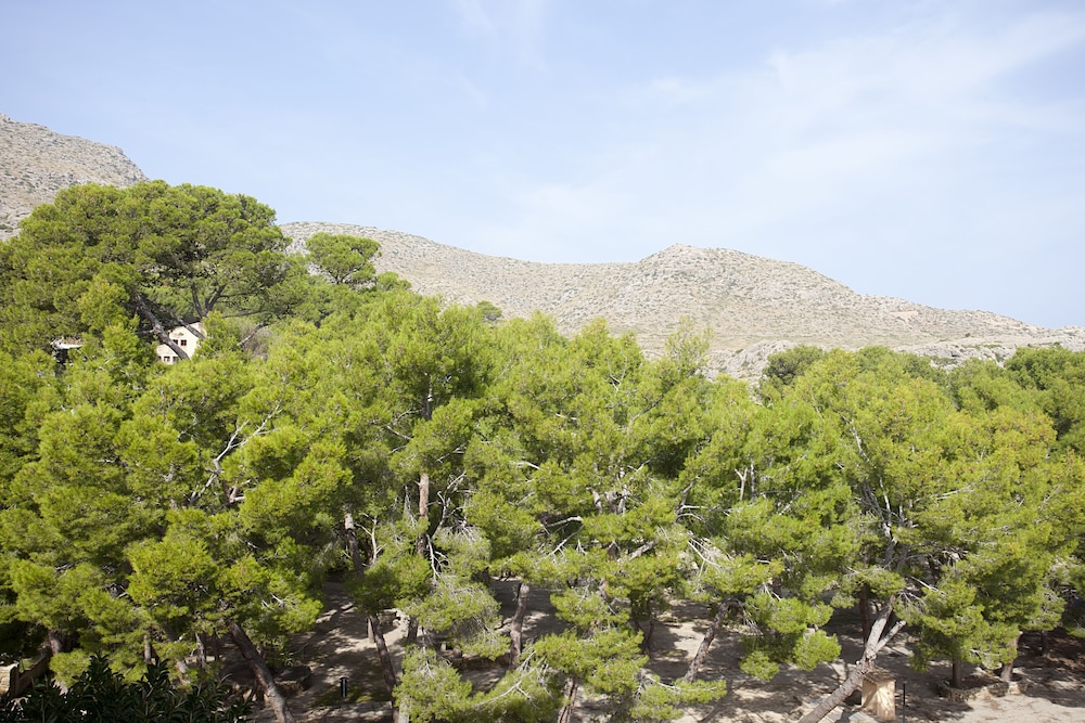 Hotel Cala Sant Vicenc - Adults Only 51/60
