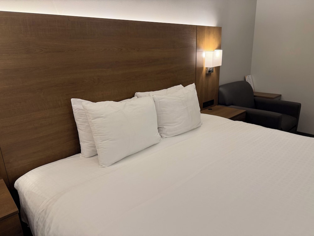 Superior Stay Hotel 30/56