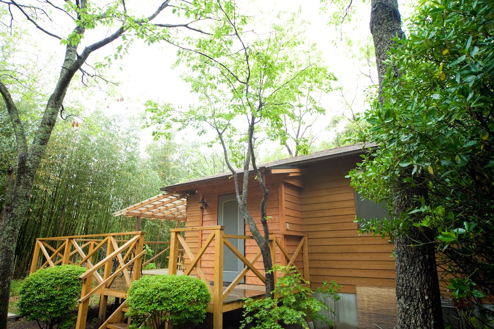 Yufuin Tsukahara Kogen Sanso Donguri (ex Sanso Donguri) 7/69