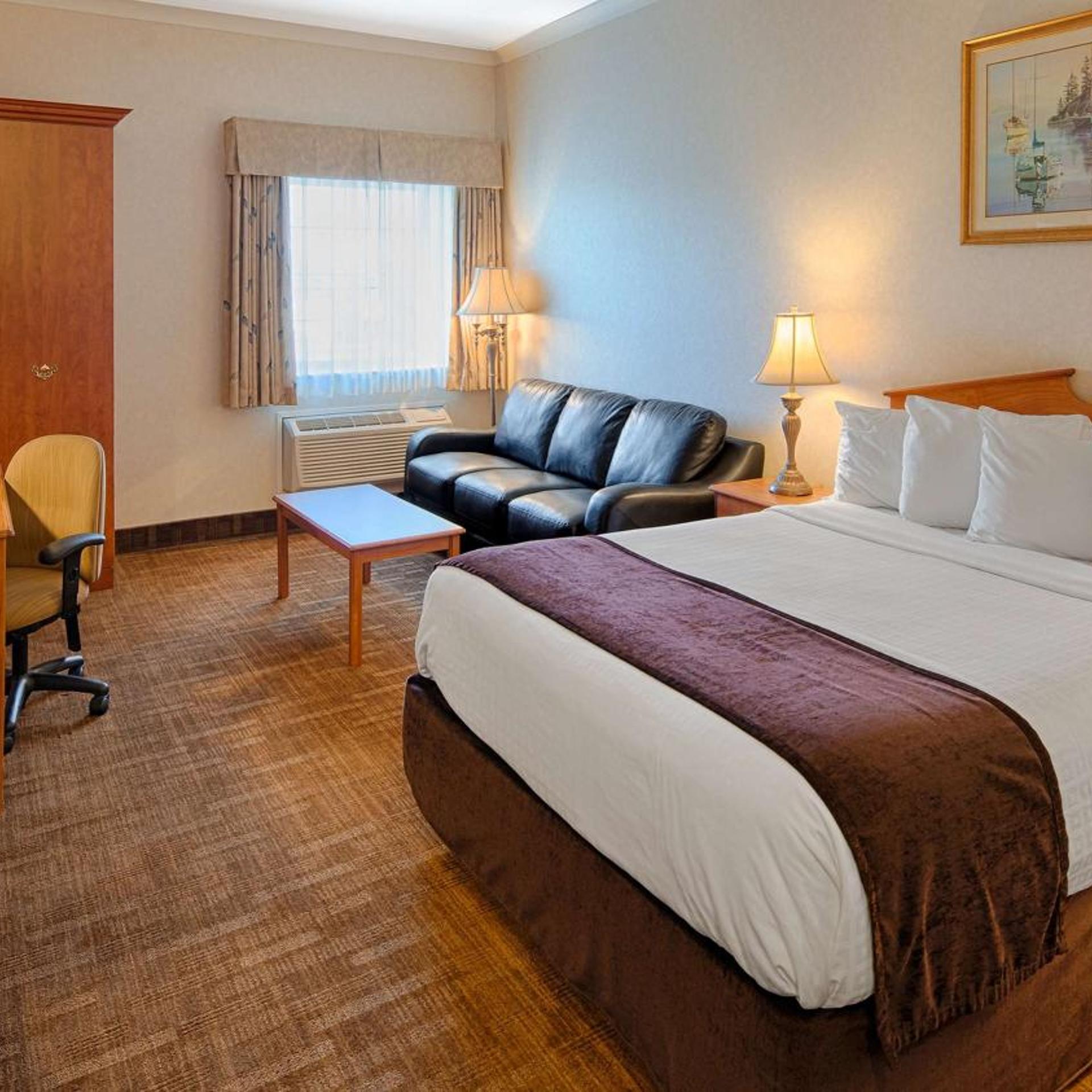 Room, Queen Bed, Sofa