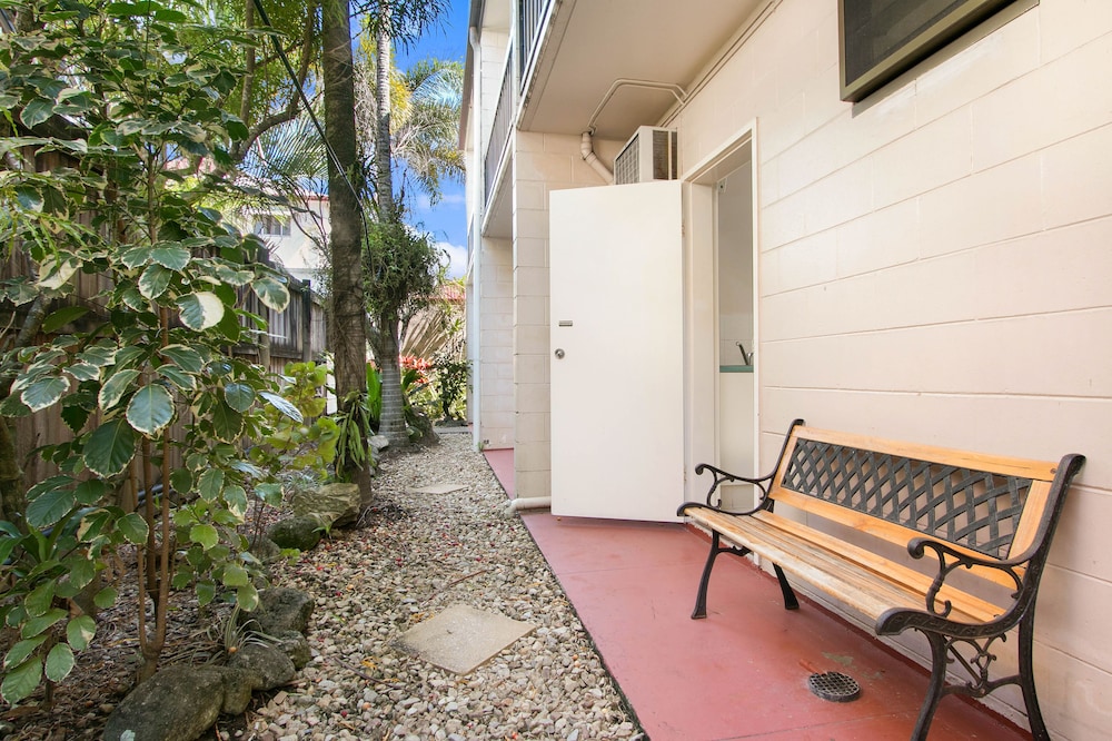 CAIRNS CITY PALMS 36/59