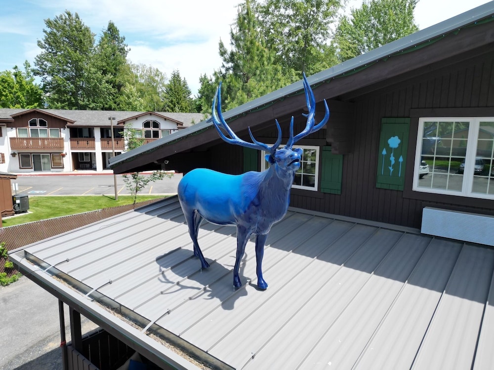 Blue Elk Inn 43/51