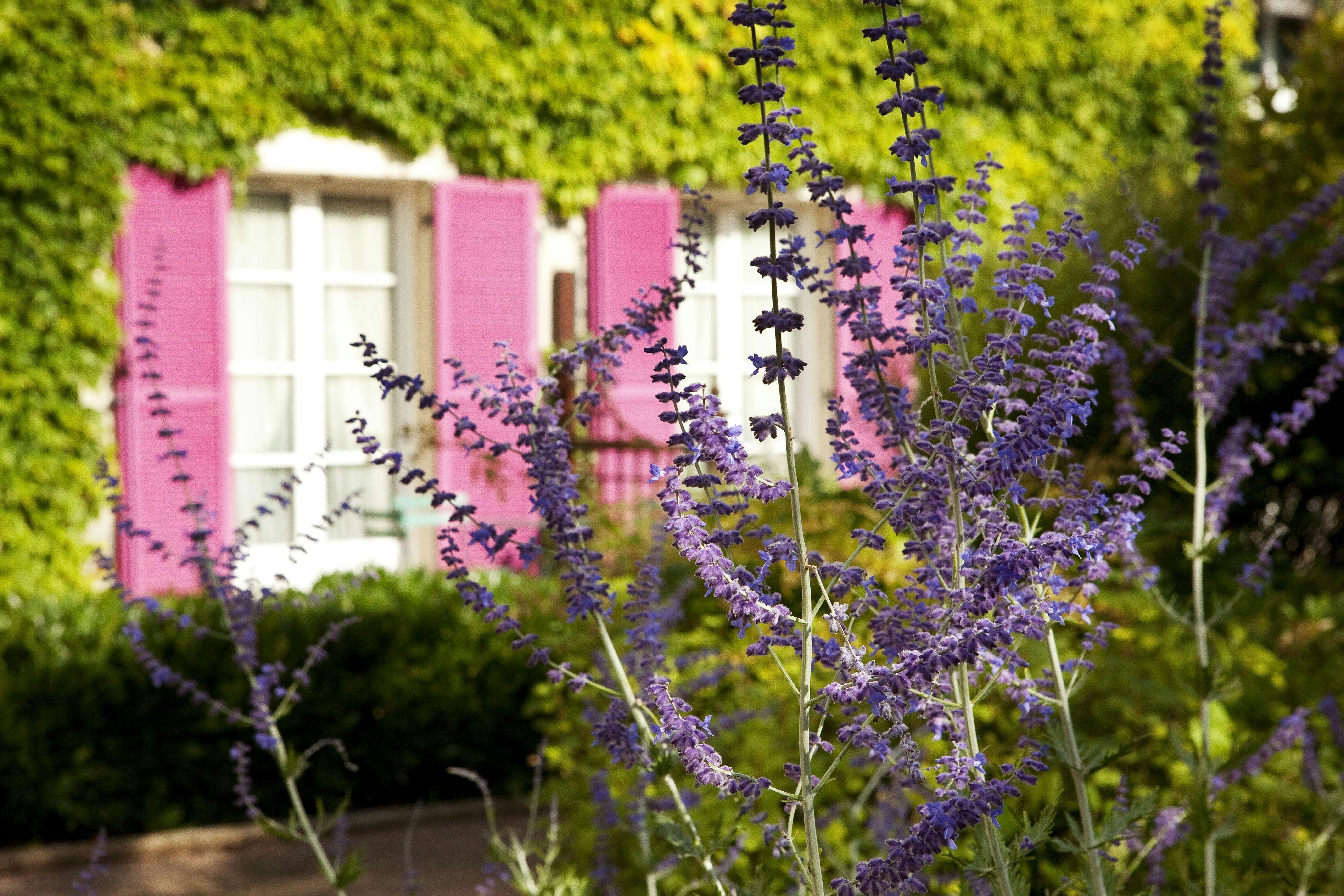 LE MANOIR DE GRESSY 1/21