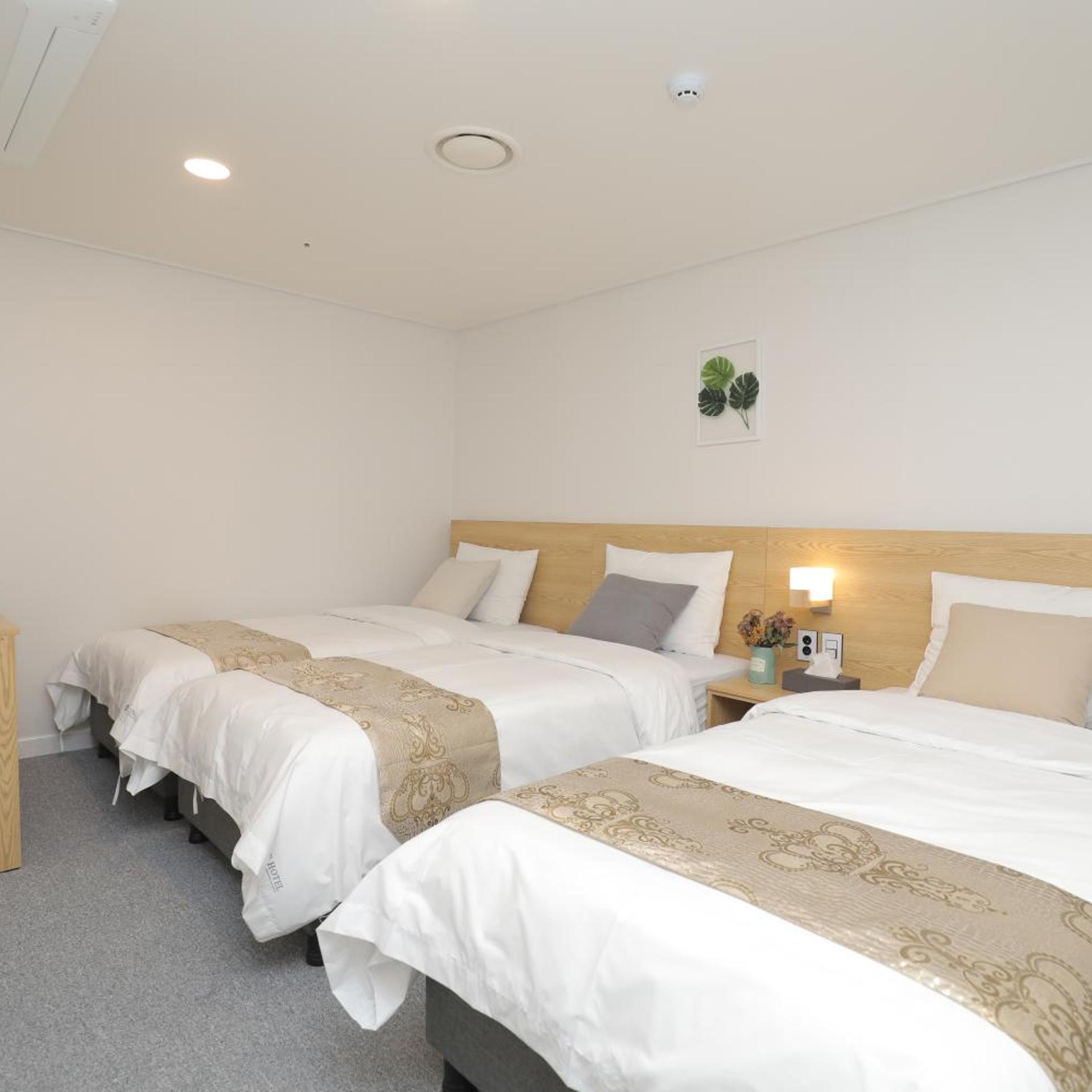 Room, Triple, No Window