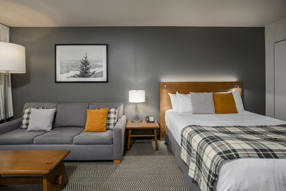 Lodge de La Montagne 14/54