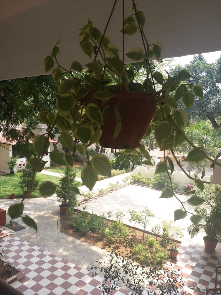 Jayamahal Palace Hotel 61/68