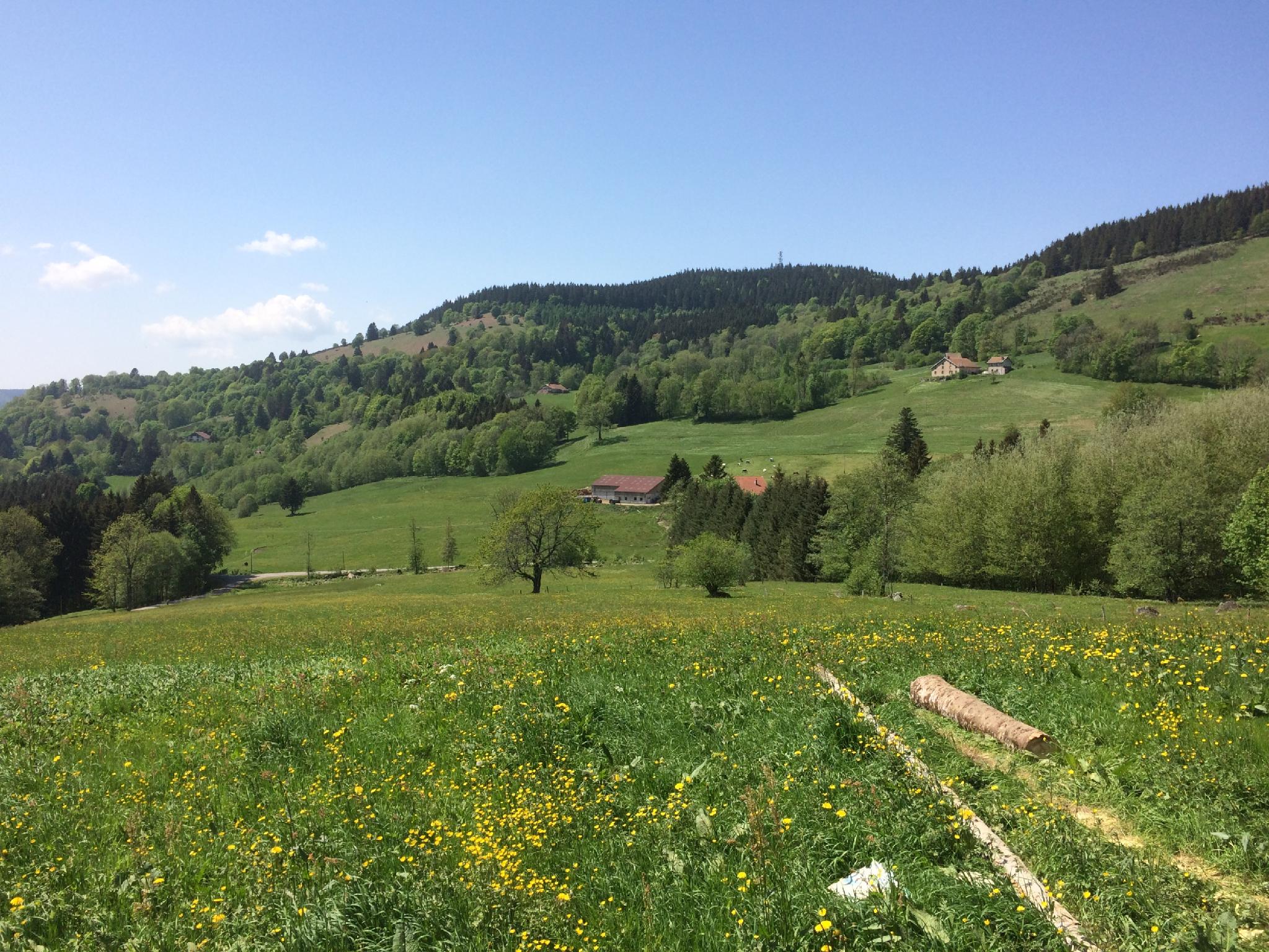 La Ferme de Jean 29/36