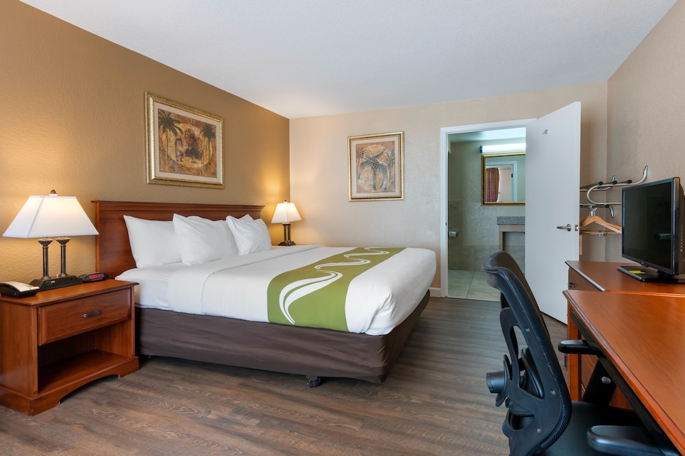 Room, King Bed, Accessible