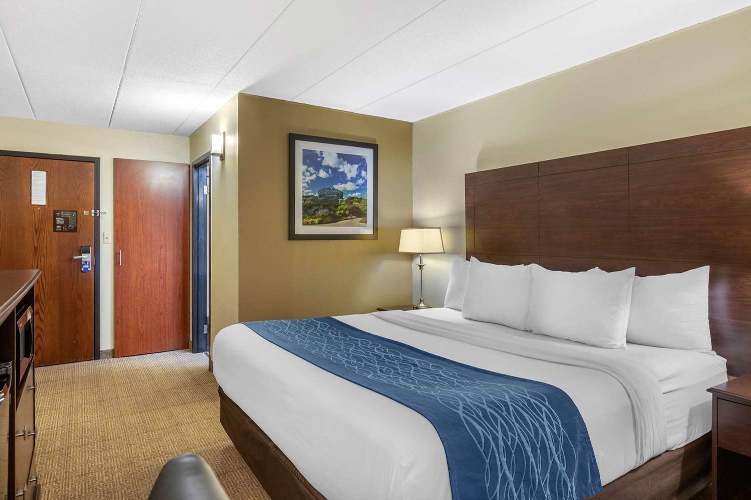 Room, King Bed