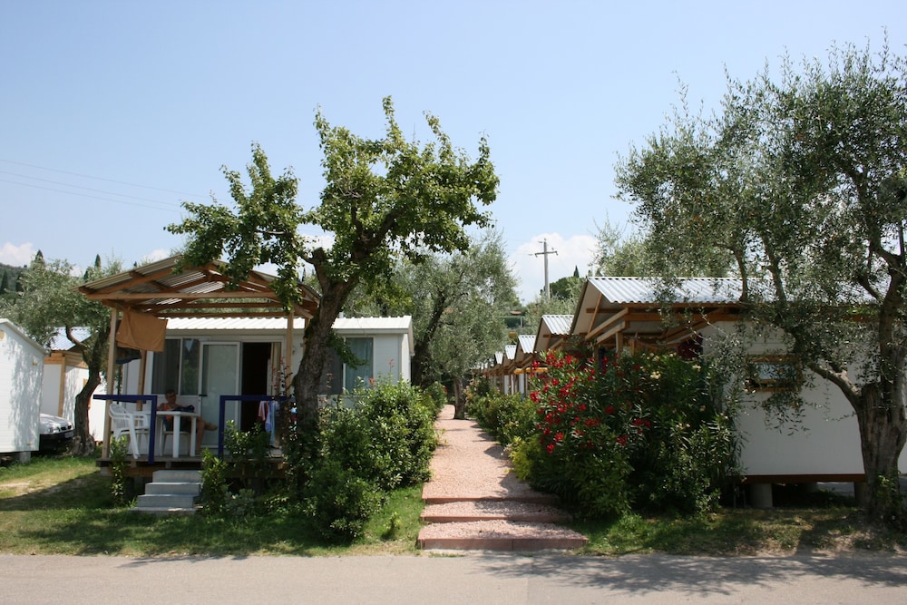 Camping Serenella 4/50