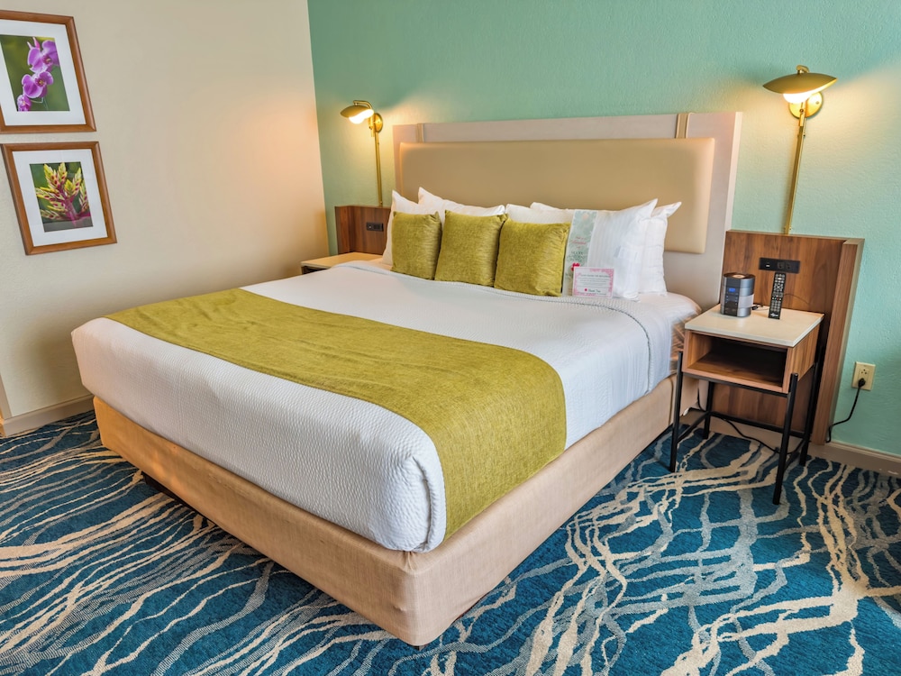 Room, King Bed