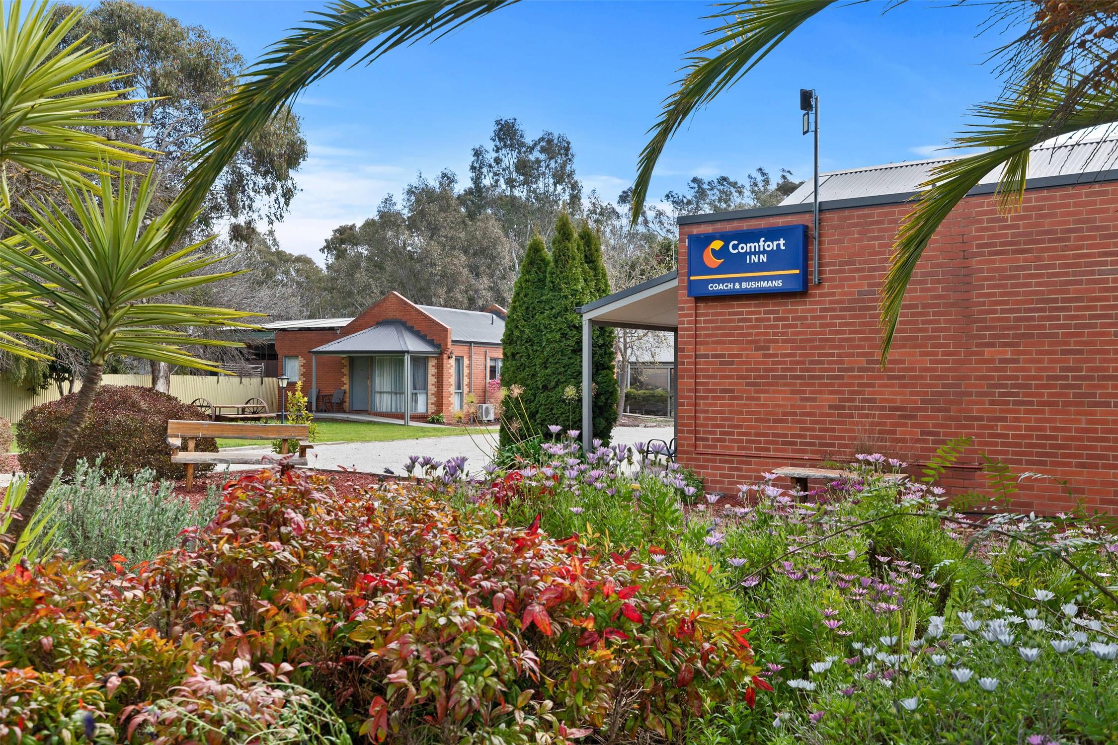 Comfort Inn Coach & Bushmans 16/22