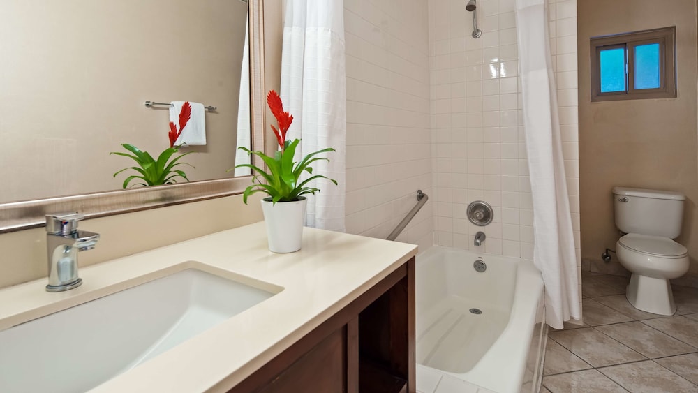 Best Western Royal Palace Inn & Suites 25/46