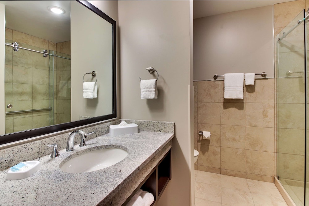 Drury Plaza Hotel Dallas Richardson 47/50