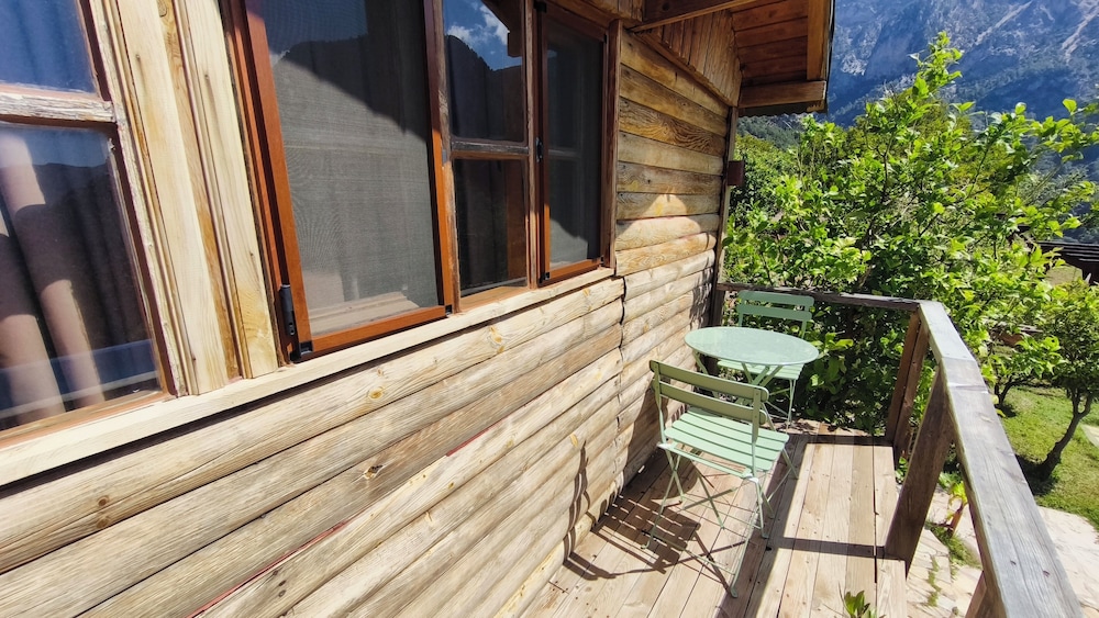 Olive Garden Kabak 25/50