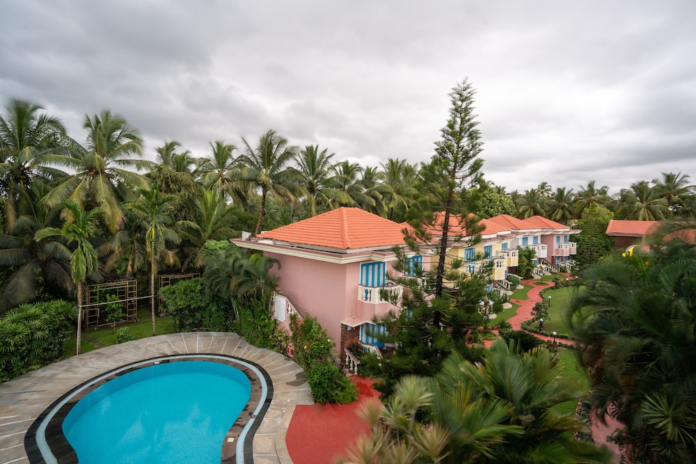 Coconut Grove 23/30