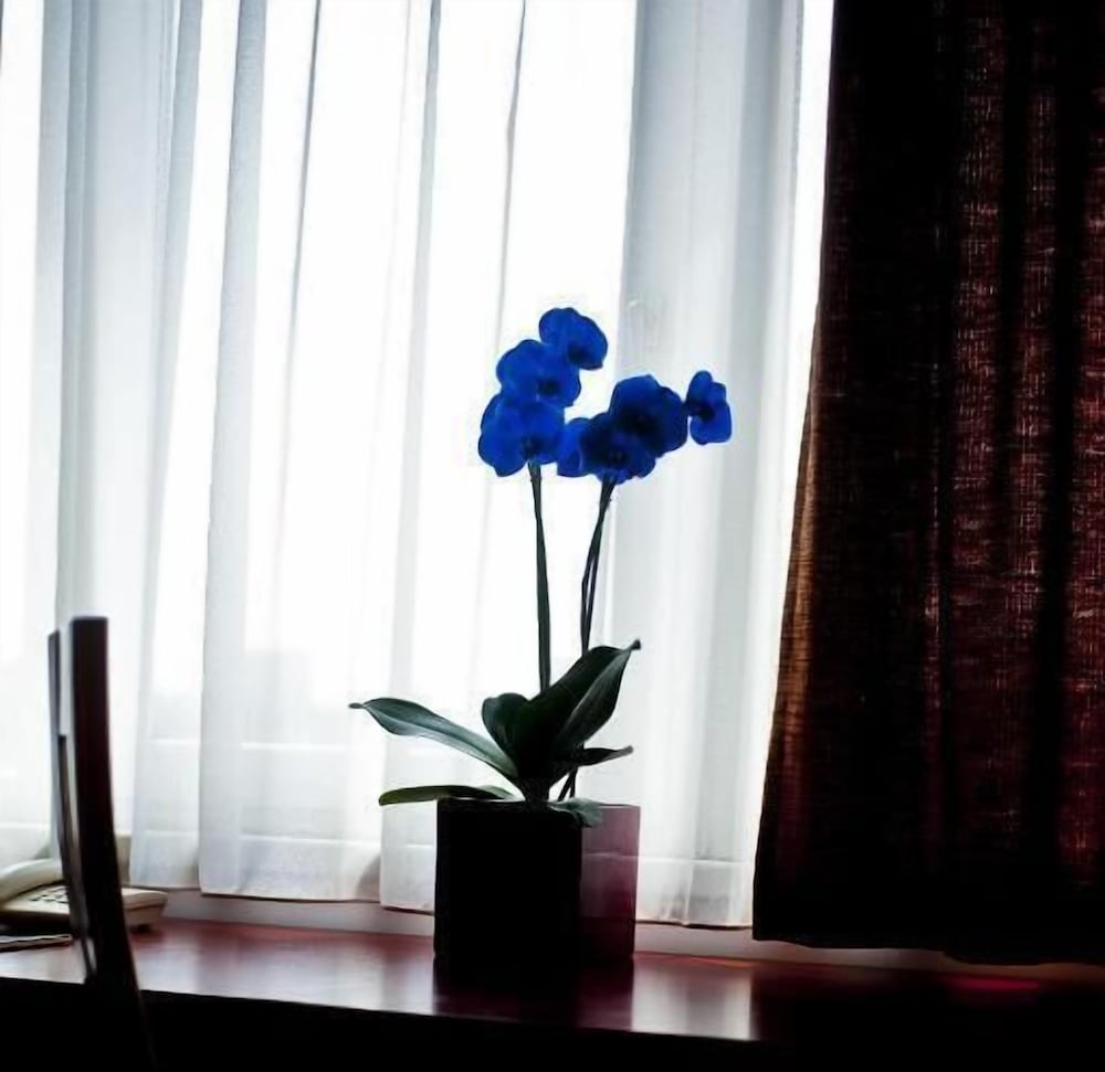 Canada Hotel Budapest 45/50