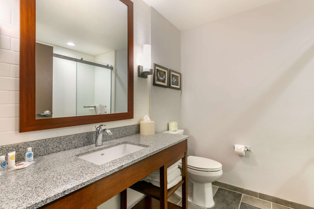 Comfort Suites North Tupelo, MS 12/36