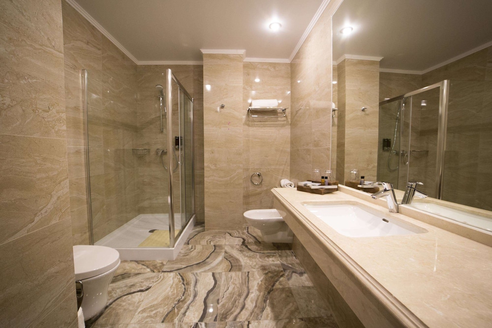 BEST WESTERN PLUS ASTANA 13/33