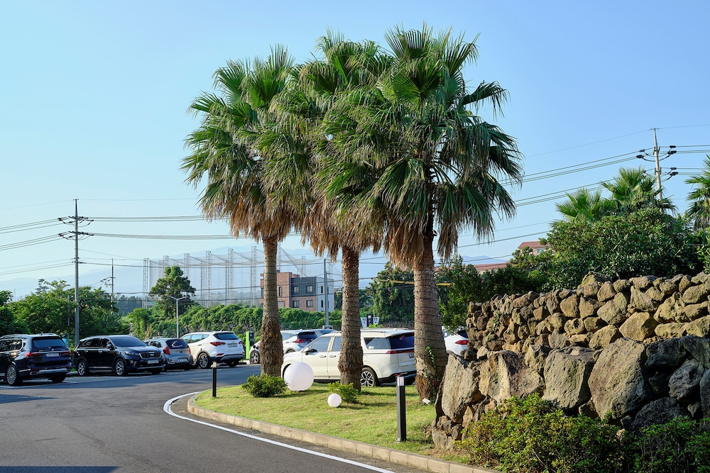 Shin Shin Hotel Jeju City 48/60