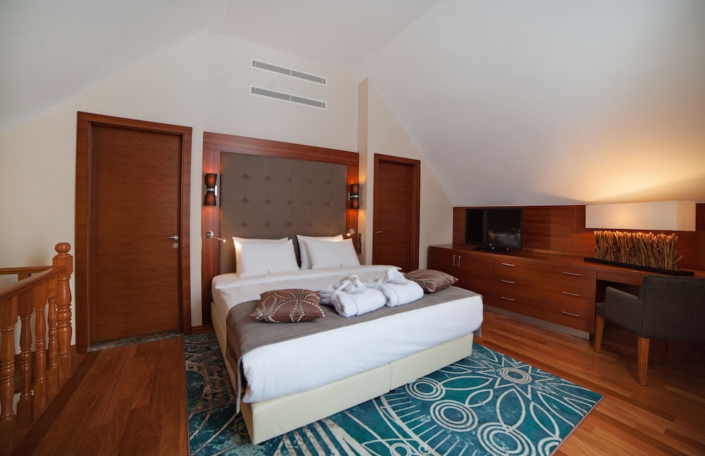 Crowne Plaza Borjomi 6/76