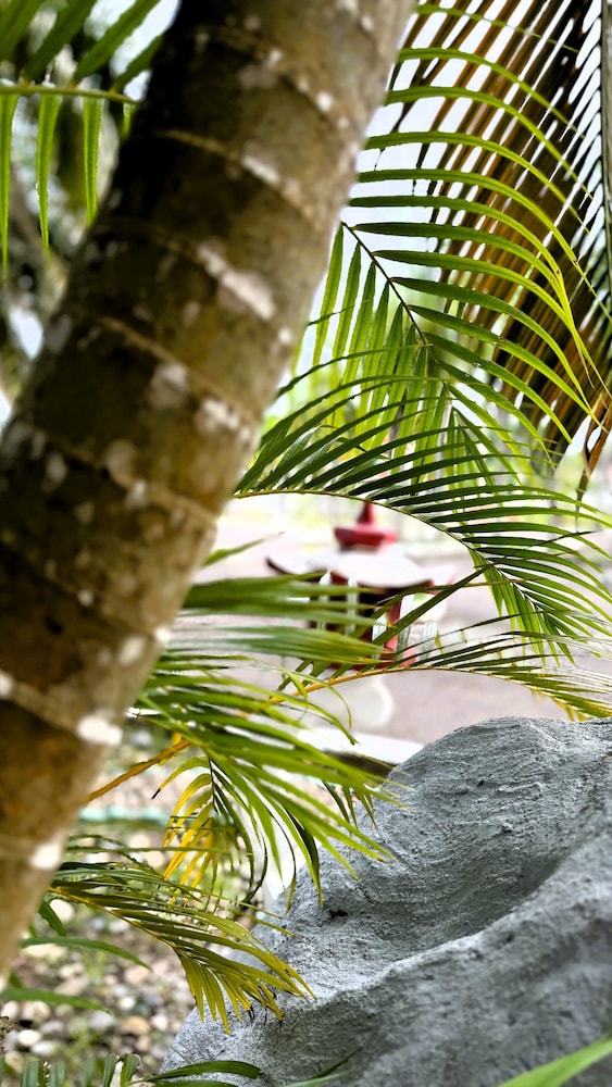 OYO 1236 Hotel Green Park 40/58